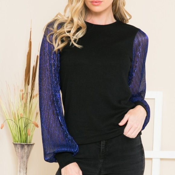 Tops - Sheer Pleated Metallic Sleeve Knit Top